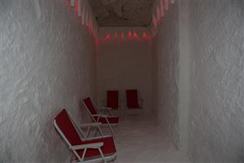 Alenz Suite