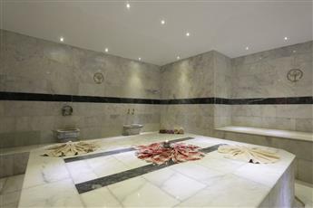 Alenz Suite