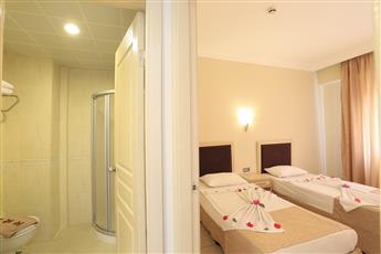 Alenz Suite