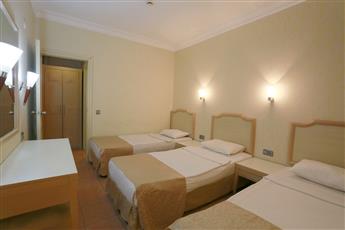 Alenz Suite