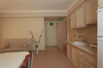 Alenz Suite