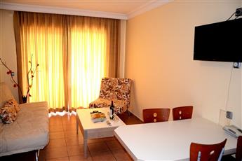 Alenz Suite
