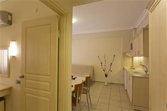Alenz Suite