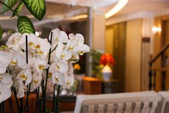 Almina Hotel - Special Class