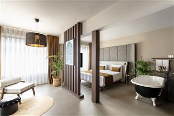 Alp Pasa Boutique Hotel 5*