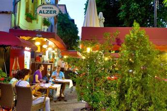 Alzer Hotel