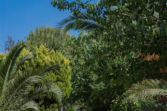 Anadolu Hotels Didim Club