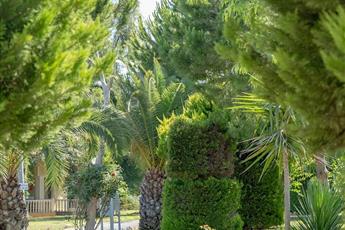 Anadolu Hotels Didim Club
