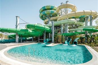 Anda Barut Collection 5*
