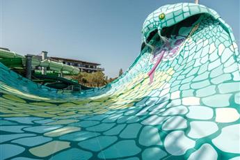 Anda Barut Collection 5*