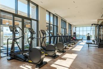 Anda Barut Collection 5*