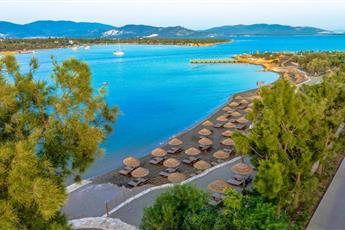 Anda Barut Collection 5*