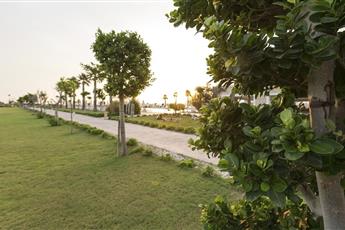 Andriake Beach Club