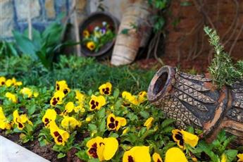 Antea Palace Hotel & Spa 3* Antea Palace Hotel & Spa 3*