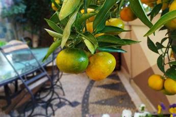 Antea Palace Hotel & Spa