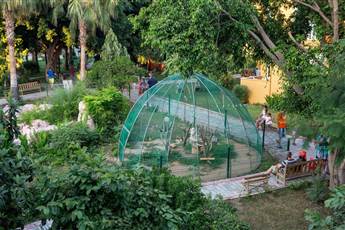 Armas Green Fugla Beach 4* Armas Green Fugla Beach 4*