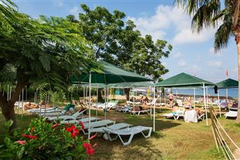 Armas Green Fugla Beach