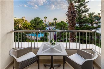 Arum Barut Collection
