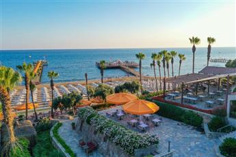 Arum Barut Collection