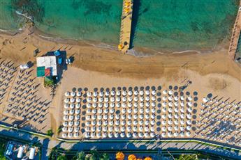 Arum Barut Collection