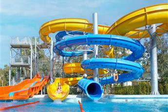 Arum Barut Collection