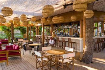 Arum Barut Collection