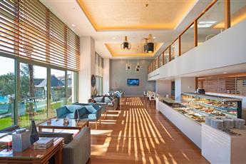Arum Barut Collection