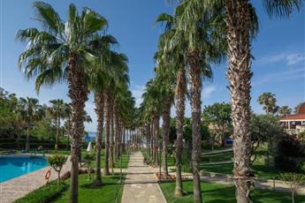 Arum Barut Collection
