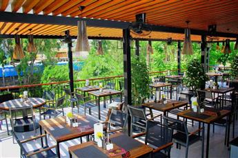 Arum Barut Collection