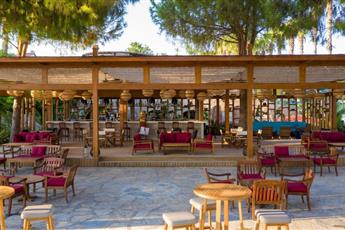 Arum Barut Collection