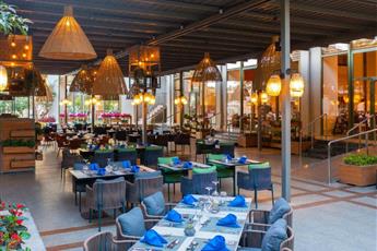 Arum Barut Collection