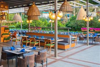 Arum Barut Collection