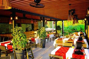 Arum Barut Collection
