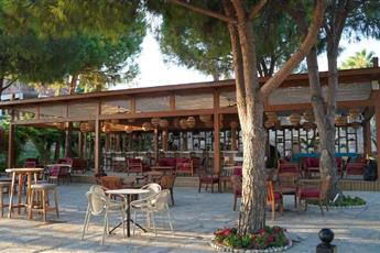 Arum Barut Collection