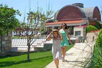 Arum Barut Collection