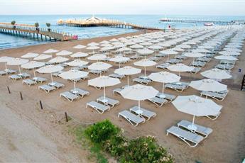 Arum Barut Collection