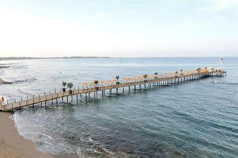 Arum Barut Collection