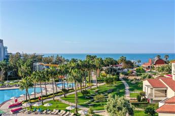 Arum Barut Collection
