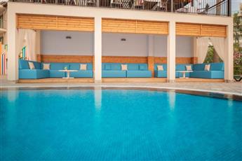 Arum Barut Collection
