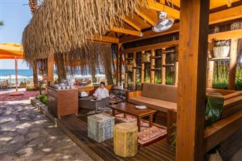 Arum Barut Collection