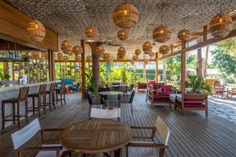 Arum Barut Collection