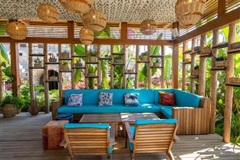 Arum Barut Collection