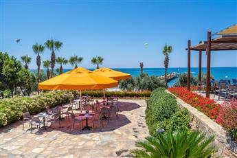 Arum Barut Collection