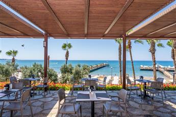 Arum Barut Collection