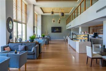 Arum Barut Collection
