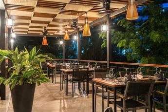 Arum Barut Collection