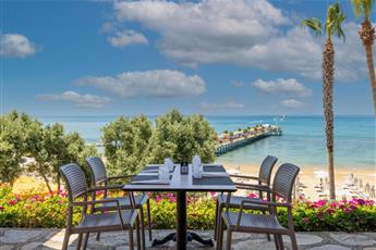 Arum Barut Collection