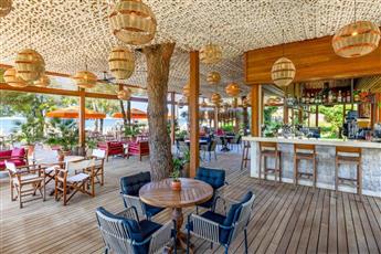 Arum Barut Collection