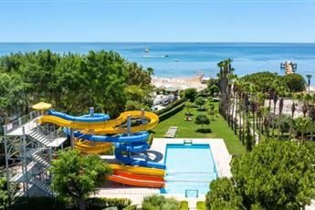 Arum Barut Collection