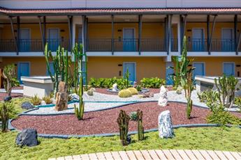 Arum Barut Collection